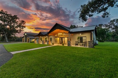 1517 Uncle Buds Ln, Lithia, FL 33547 - photo 5