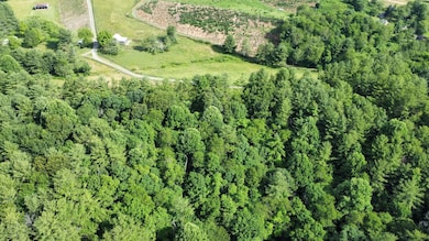 0 Island Ford Rd, Laurel Springs, NC 28644 - photo 5