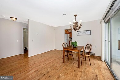 5771 Box Elder Ct, Frederick, MD 21703 - photo 7