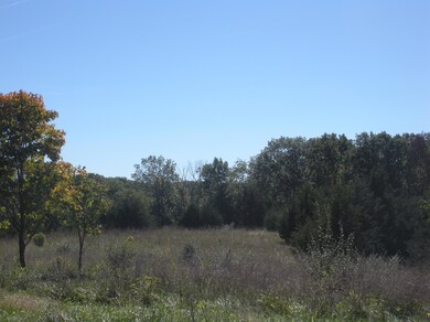 Blue Bird Land