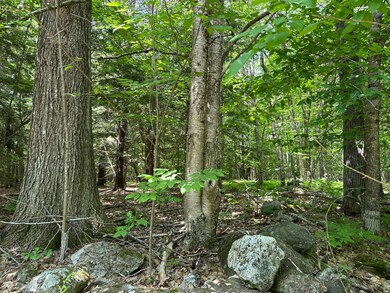 Rock Wall Boundary Line