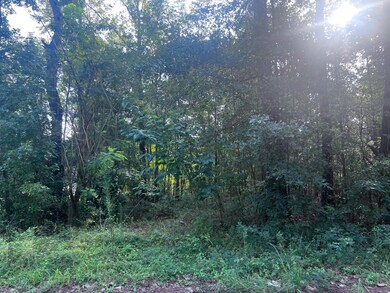 206 Memorial Ave unit 147, Sumter, SC 29153 - photo 5