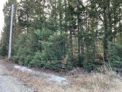 image1 (22)