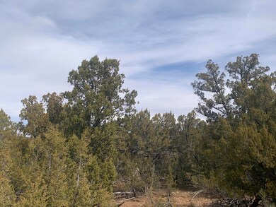Mogollon Ranch