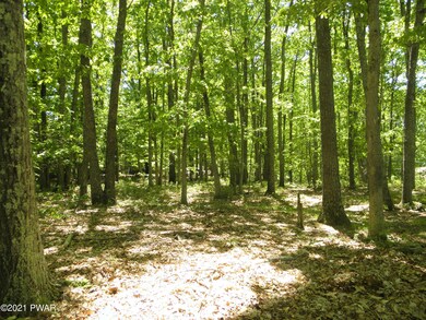 0 3 Rd Road Lake Rd unit PWB211844, Hawley, PA 18428 - photo 3