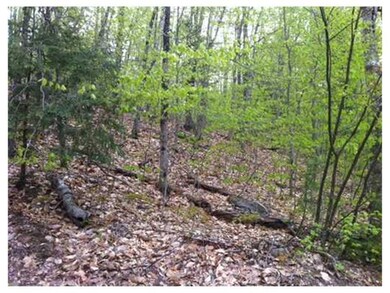 0 Lake Ave, Gray, ME 04039 - photo 6