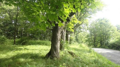 0 Henry Rd unit KEY909778, Cragsmoor, NY 12420 - photo 2