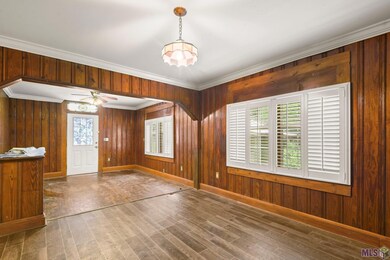 15545 Bear Island Rd, Maurepas, LA 70449 - photo 4