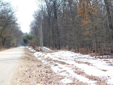 0 W Lincoln St, Brohman, MI 49312 - photo 5