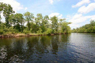 112 Lure Ct unit Homesite 4, Conway, SC 29526 - photo 6