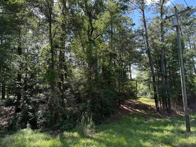 2 +/- Acres Hwy 49, Collins, MS 39428 - photo 4
