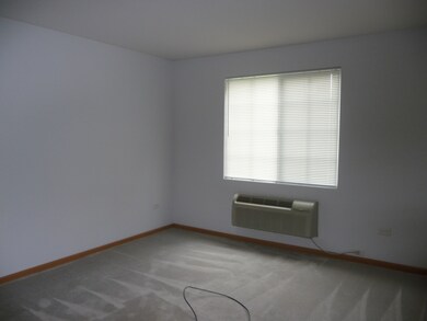 1403 Mcclure Rd unit 1403, Aurora, IL 60505 - photo 7