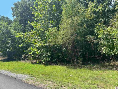 149 Centerview Rd, Murray, KY 42071 - photo 7