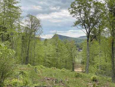 0 Long View Ln unit 3 4809140, Westmore, VT 05860 - photo 2