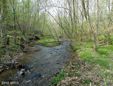 405 Garth Run Rd, Madison, VA 22727 - photo 3