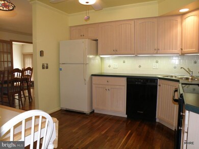 20880 Bayside Ave, Rock Hall, MD 21661 - photo 5