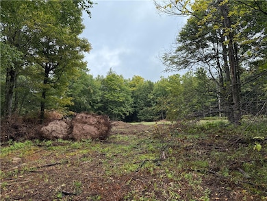 0 Alma Hill Rd unit R1637531, Alma, NY 14895 - photo 3