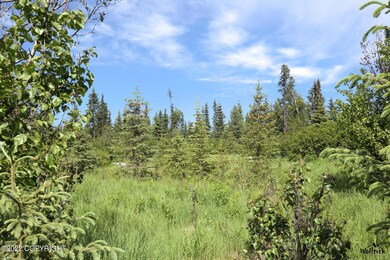 C4 Alaskan Wildwood Ranch(r)