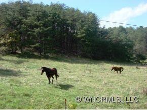 000 Moores Valley Ln, Leicester, NC 28748 - photo 7