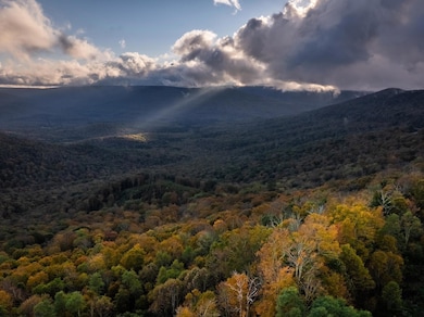 TBD Laurel Creek Trail, Marlinton, WV 24954 - photo 7
