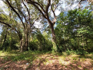 133 Pine Trail, Sylvester, GA 31791 - photo 3