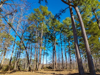 Lot C Malberg Rd, Cabool, MO 65689 - photo 6