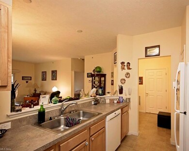 702 Aqua Marine Blvd unit 21, Avon Lake, OH 44012 - photo 3