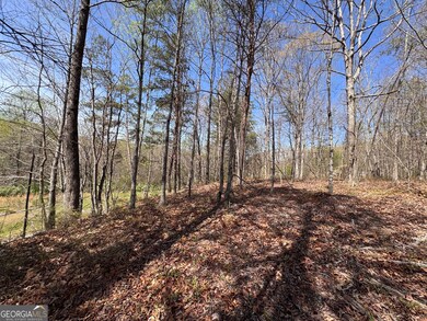 0 Highway 129 N unit 10656269, Cleveland, GA 30528 - photo 2