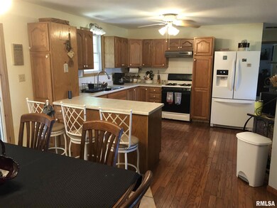 9336 E 975th Ave, Effingham, IL 62401 - photo 4