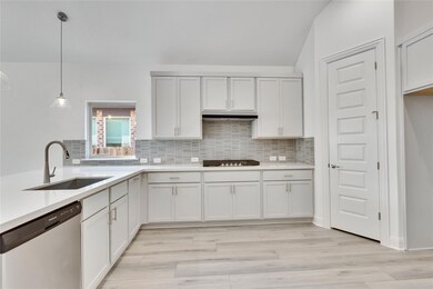 Kitchen with stainless steel dishwasher, light co