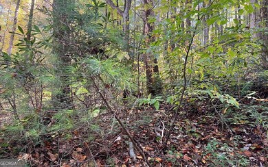 TR 1 Tusquittee Rd, Hayesville, NC 28904 - photo 4