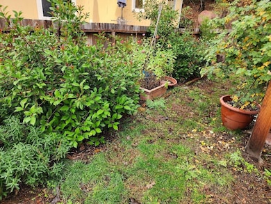 114 Riverwood Ln, Dunsmuir, CA 96025 - photo 3