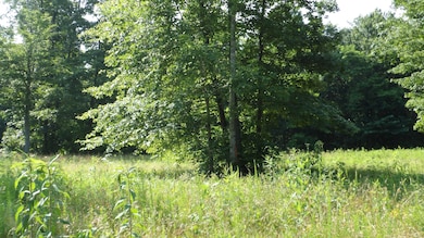 0 Pleasant Cemetery Ln unit RTC3059439, Gainesboro, TN 38562 - photo 3