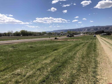 1217 (Lot 5) Lazy v Ln, Fruita, CO 81521 - photo 3
