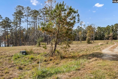 0 Adventure Bay unit 622669, Prosperity, SC 29127 - photo 4