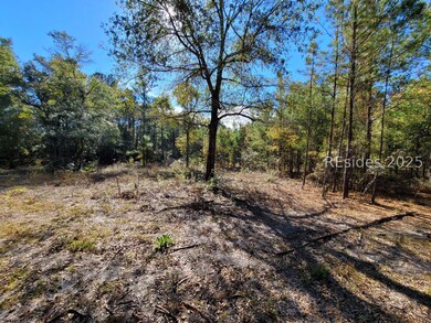 TBD Beavers Rd, Ridgeland, SC 29936 - photo 5