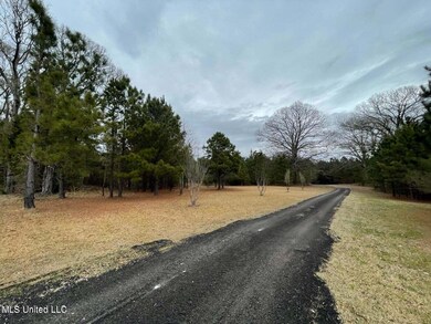 Springridge Rd 8
