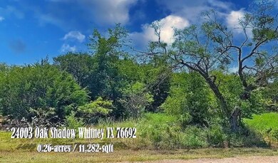 24003 Oak Shadow, Whitney, TX 76692 - photo 3