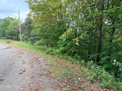 Lot 192 Clinch View Rd, New Tazewell, TN 37825 - photo 6
