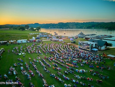 585 Black Cove Ln, Loudon, TN 37774 - photo 6