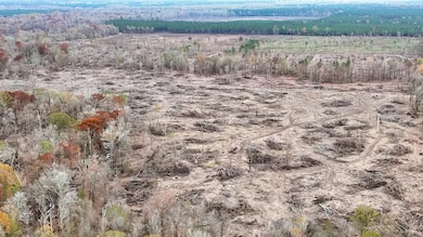 0 Big Creek Rd, Rison, AR 71665 - photo 5