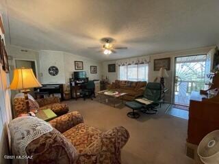 image19 (4)