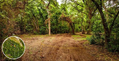 315 Longhorn Trail, Weatherford, TX 76087 - photo 5