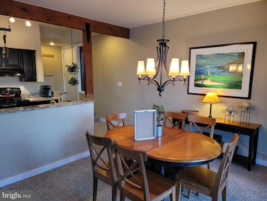 2149 Fairway Woods, Wintergreen Resort, VA 22967 - photo 7