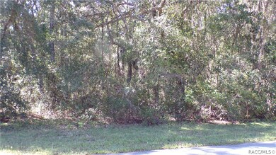 unlisted-address, Hernando, FL 34442 - photo 2