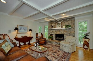 Den with fireplace