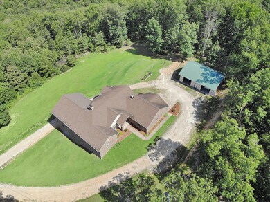 Drone View