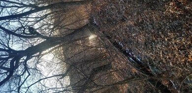 20220117_163735