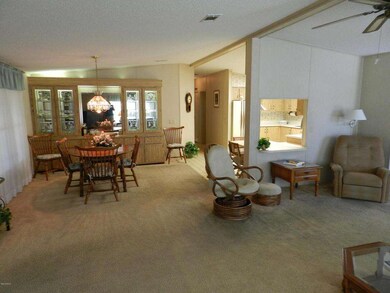 923_cypress2