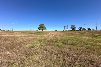 TBD Hwy 175, Eustace, TX 75124 - photo 6